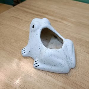 Frog Planter With Hole On Bottom