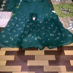 Bust Waist 28/30 /32 No Coim Ready To Wear Saree