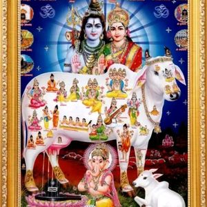 Shiv Parvati Devi Devta Photo Frame Pooja