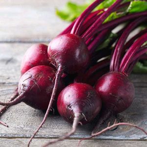 Beetroot (chukandar) Seeds (चुकंदर के बीज)