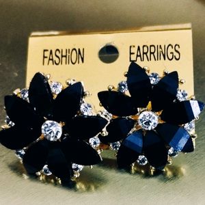 Beautiful Black Earings