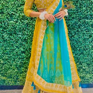 Feative Lehenga Set