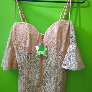 Sexy Nude Bodycorn Lace Dress (New)