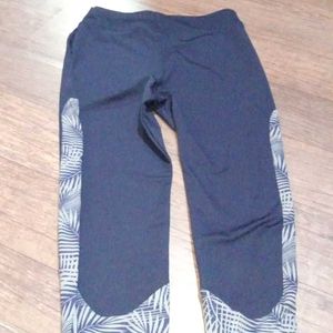 Gym Fit Leggings For Women