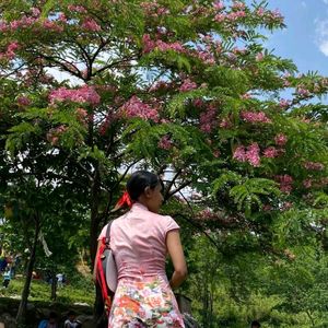 Pink Cheongsam🎀