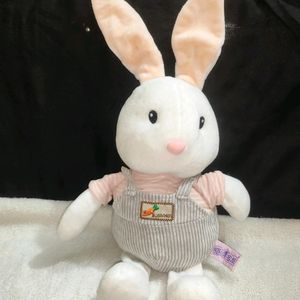 Cute Bunny Plushie