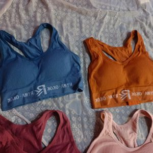 New Padded Sports Bra (Women's)