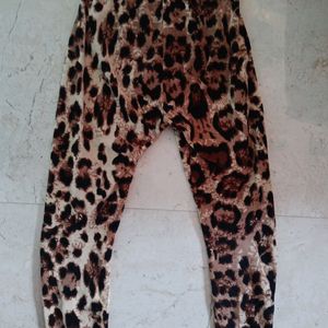 Printed Trouser