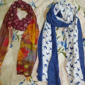 Multicolored Chiffon Scarf and Stoles Pack Of 2