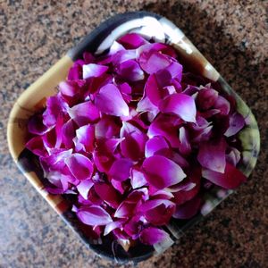 Dried Rose Petals For Craft, Herbal, Decor, Pujan