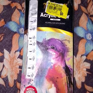 Acrylic Colours With Spatula