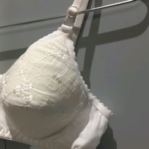 New Fancy Bra