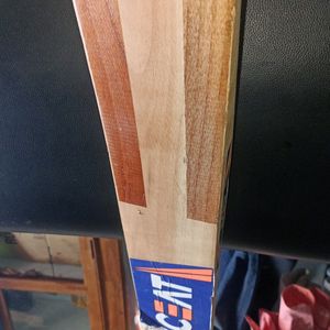 Ceat Kashmir Willow Cricket Bat