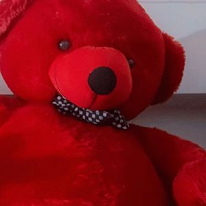 Teddy Bear For Girls