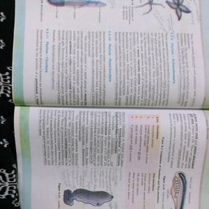 NCERT Biology Class 11th Textbook