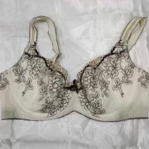 Combo Of 4 Imported Designer Bra