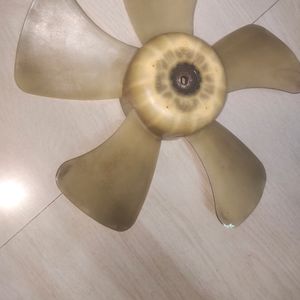 Radiator Fan