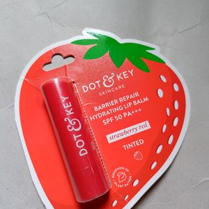 Combo Of Lip Balm