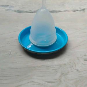 Menstrual Cup.