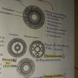 NEET BIOLOGY HANDBOOK