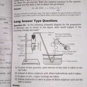 Ncert Solution Class 10 Science Arihant Publicatio