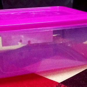 New Empty Container Box