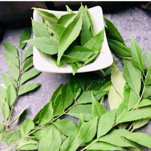 Curry Leaves 🌿🌿