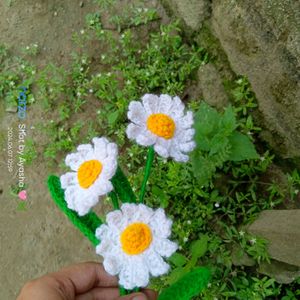 Crochet Daisy Flower 🌼✨