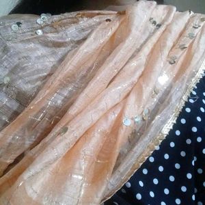 Party wear Dupatta Light Orange