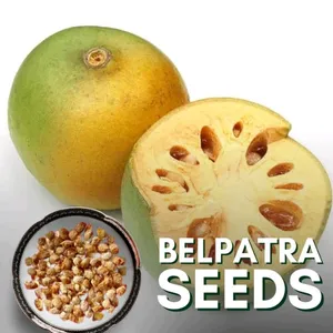 Belpatra Plant Seeds