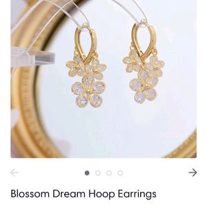 ₹250/- Earrings