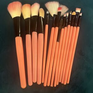 (pack Of 13) Makeup Brushes Set Only At