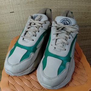 Men Colour Blocked Sneaker Beige & Green