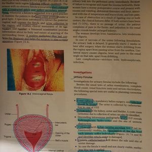 Shaw -GYNECOLOGY