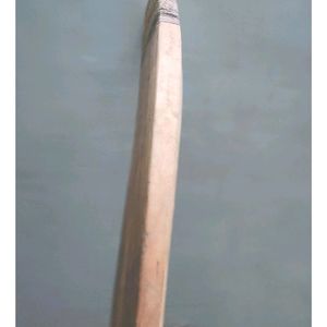 Willow Cricket Bat