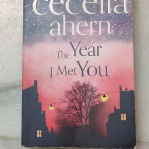 The Year I Met You