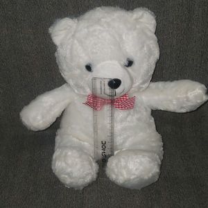 White Teddy Bear