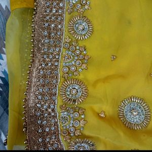 Golden Embroidery Saree