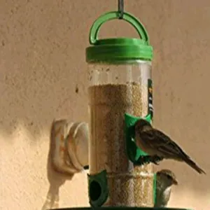 Bird Feeder