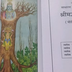 I'm Selling Hindu Religion Book