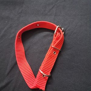 Medium To Large Size Dog Neck Belt