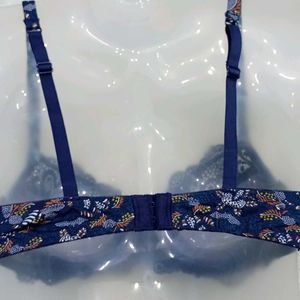 34b Bra Look