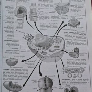 MTG NEET COMPLETE BIOLOGY