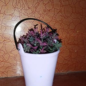 This Is Small Bucket With A Pink And Purple Colour