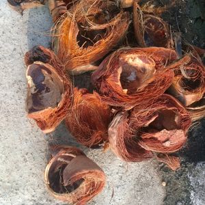 Coconut Husk 1000gm