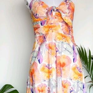 Anthropologie Luxe Brand midi Dress