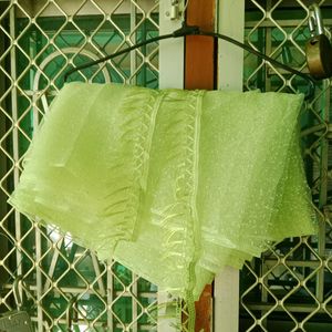 New Net Saree With Pretty Lace.