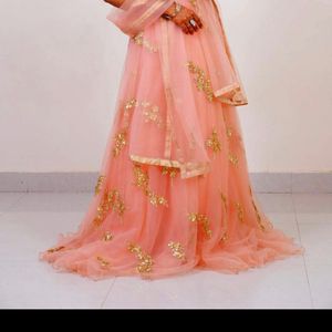 Peach Soft Net Party Wear Dress