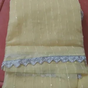 Partywear Saree