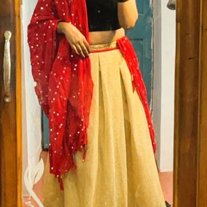 Golden Skirt With Chunni